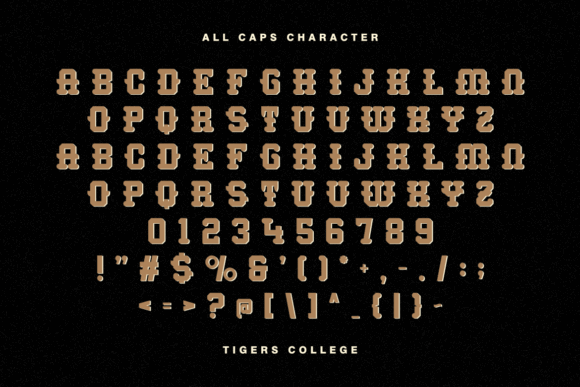 17 Collegiate Fonts: Powerful Picks for Logos & Jerseys 41 Tigers College Fonts 135477389 2 580x387 1