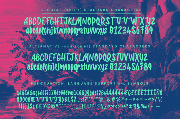 40 Best Brush Script Fonts for Elegant Wedding Invitations 78 Tropical Carnival Fonts 95186820 2 580x385 1