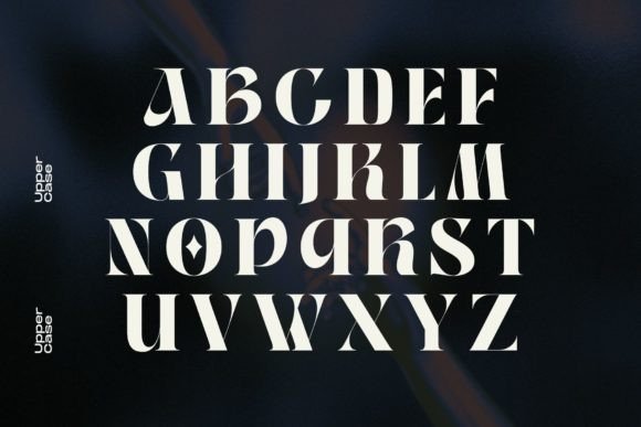 Premium Fonts: 20 Powerful Choices Designers Will Love 45 Vintage Mohai Fonts 61965277 7 580x387 1