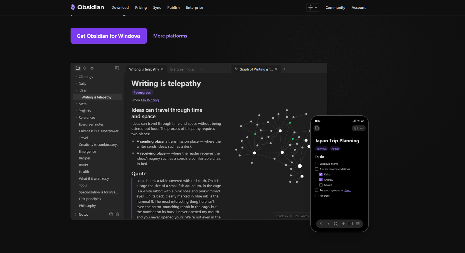 12 Best Notion Alternatives for Notes, Projects, and Teamwork 2 Obsidian interface displaying note-taking features and graph view.