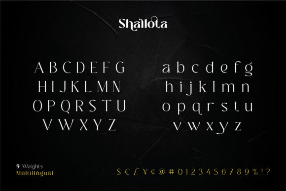Stylish Display Fonts: 25 Bold Picks Designers Will Love 65 shallota Fonts 9646147 10 580x387 1