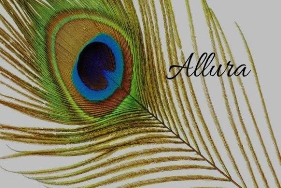 Allura Font for Branding — Canva fonts for professional branding Canva fonts for professional branding featuring Allura script