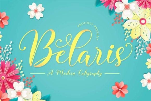 25 Best Canva Fonts for Professional Branding Design 22 Belaris font showcasing flowing script with floral decorations, ideal for branding. — Canva fonts for professional branding