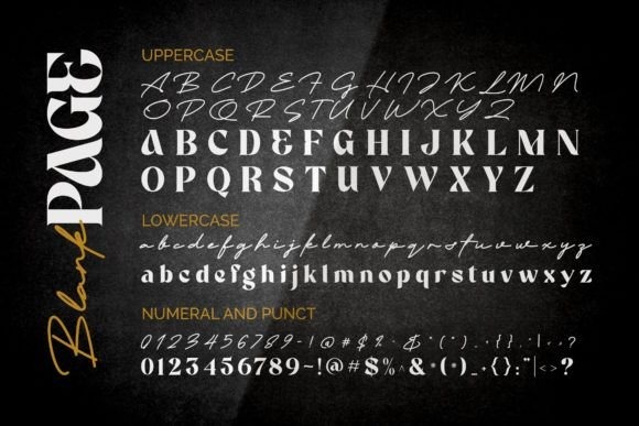 17 Wedding Font Combinations for Elegant Invitations 7 Elegant wedding font combinations featuring Blank Page display serif and script.