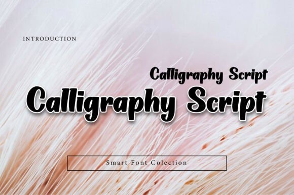 19 Wedding Fonts in Canva for Elegant Invitation Designs 8 Calligraphy Script font showcased for wedding invitations — wedding fonts in Canva