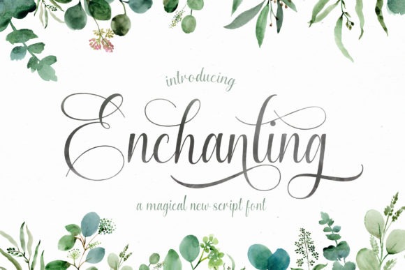 Enchanting Script Calligraphy Font — calligraphy fonts