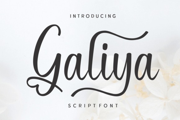 19 Wedding Fonts in Canva for Elegant Invitation Designs 5 Elegant Galiya script font for wedding invitations — wedding fonts in Canva