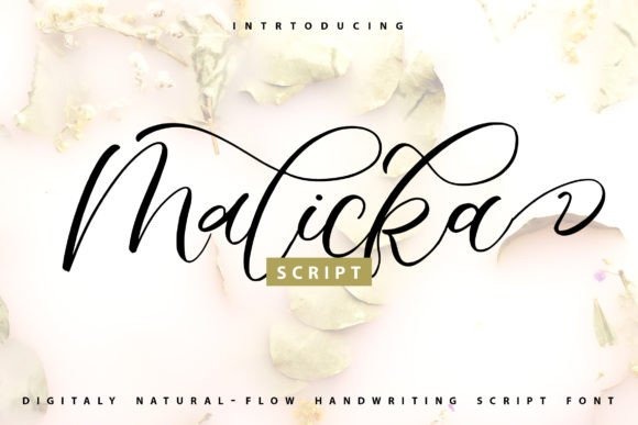 16 Wedding Card Fonts for Elegant Invitation Designs 22 Malicka wedding card font showcasing elegant calligraphy. — wedding card fonts