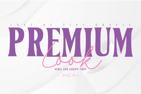 17 Wedding Font Combinations for Elegant Invitations 16 Elegant wedding font combinations featuring Premium Look Duo.