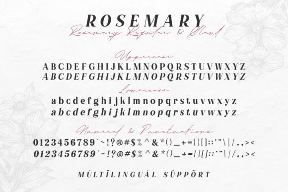 16 Wedding Card Fonts for Elegant Invitation Designs 35 16 wedding card fonts including Rosemary for elegant designs.