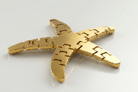 17 3D Printed Products to Sell at Craft Fairs for Profit 5 3D printed starfish flexi toy in gold color โ 3D printed products