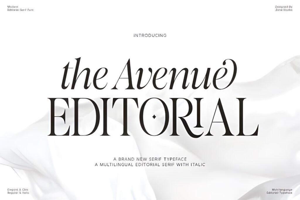Best fonts for editorial design projects — 35 Picks 28 The Avenue Editorial serif display font for fonts for editorial design projects with elegant and modern style