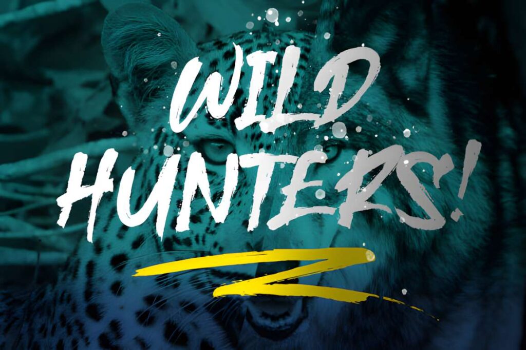 29 Canva Fonts for Painted Banners That Stand Out 98 Wild Hunters text in a dry-brush handwritten style over a leopard background showcasing Canva fonts for painted banners